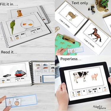 Emergent Reader